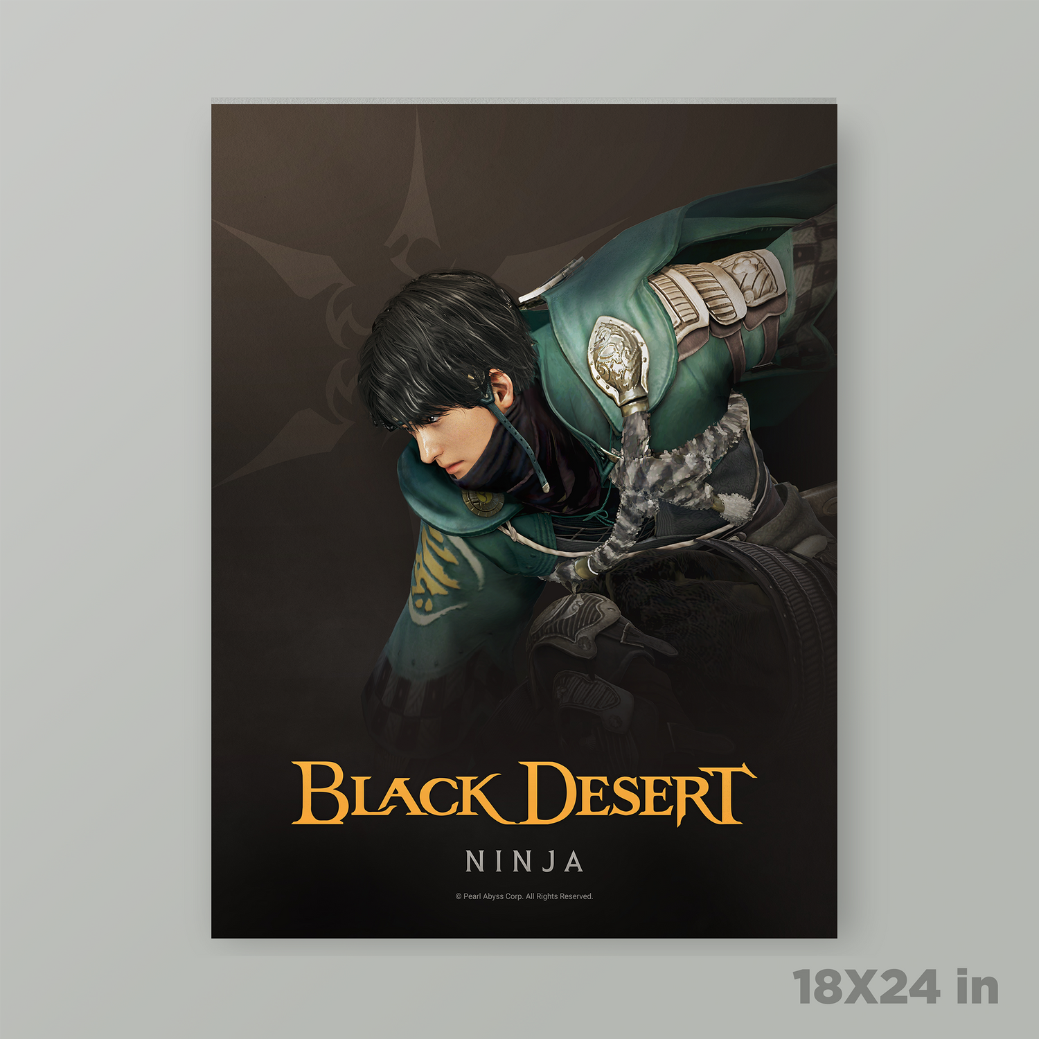 Black Desert Ninja Poster