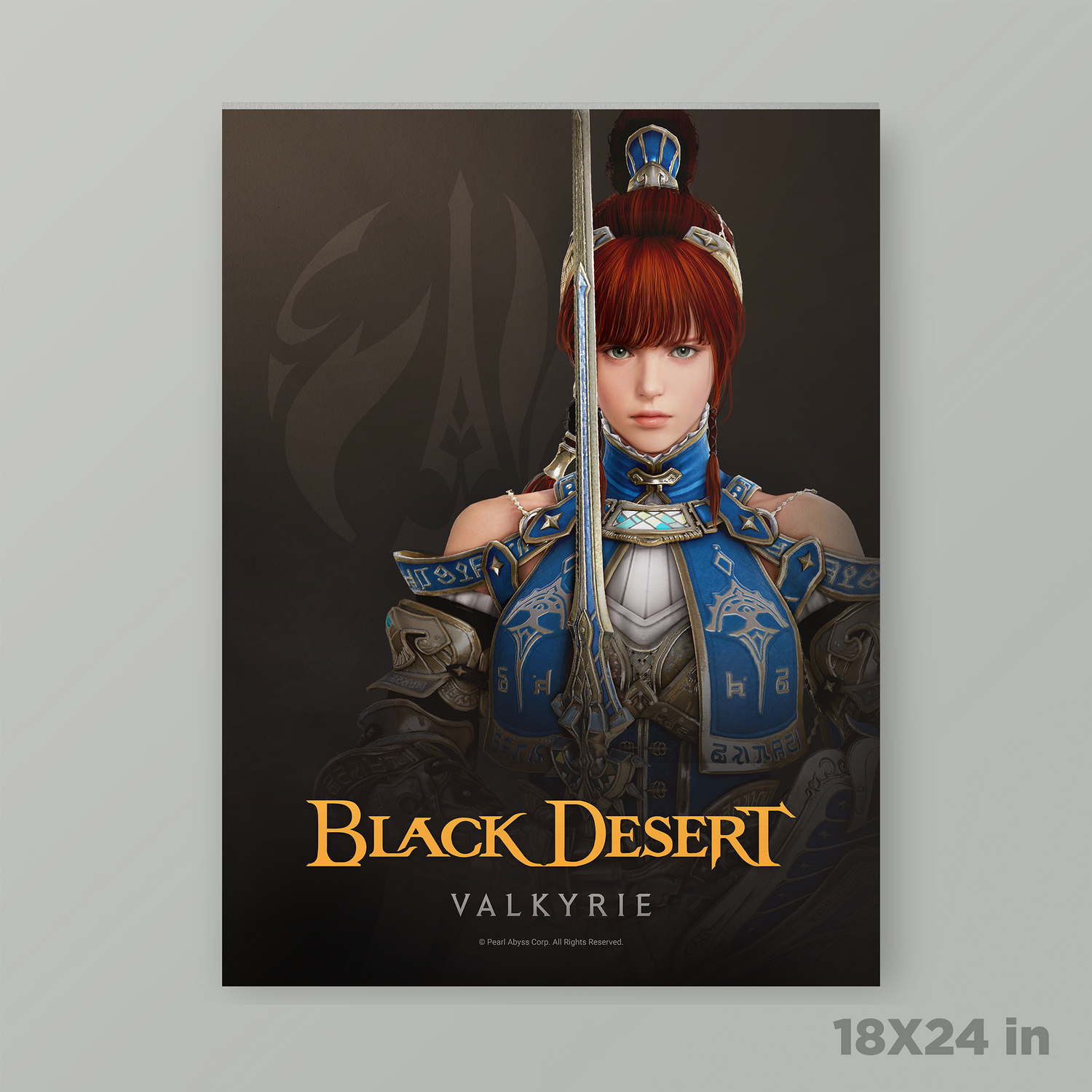 Black Desert Valkyrie Poster