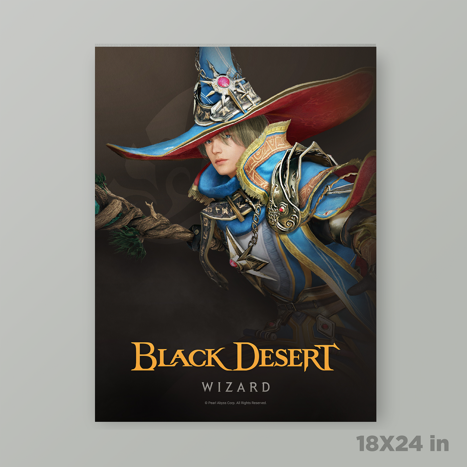 Black Desert Wizard Poster