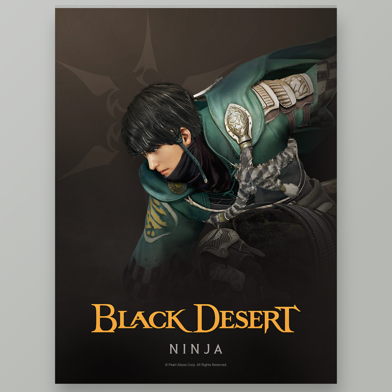 Black Desert Ninja Poster