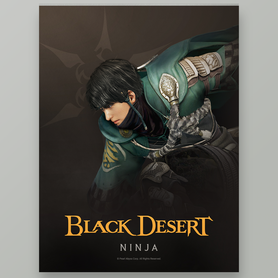 Black Desert Ninja Poster – Pearl Abyss Gear